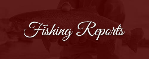 Fishing Reports