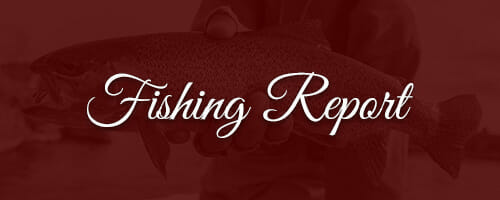 fishing-report - Wolf Creek Angler