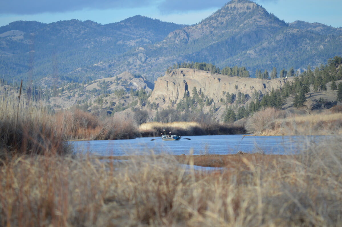 Simms Wood Trout Fill T-Shirt - Madison River Outfitters