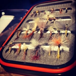 PMD's are what's on the menu. Stop by Wolf Creek Angler for the widest selection of Missouri River flies ever assembled under one roof in Wolf Creek Montana. 