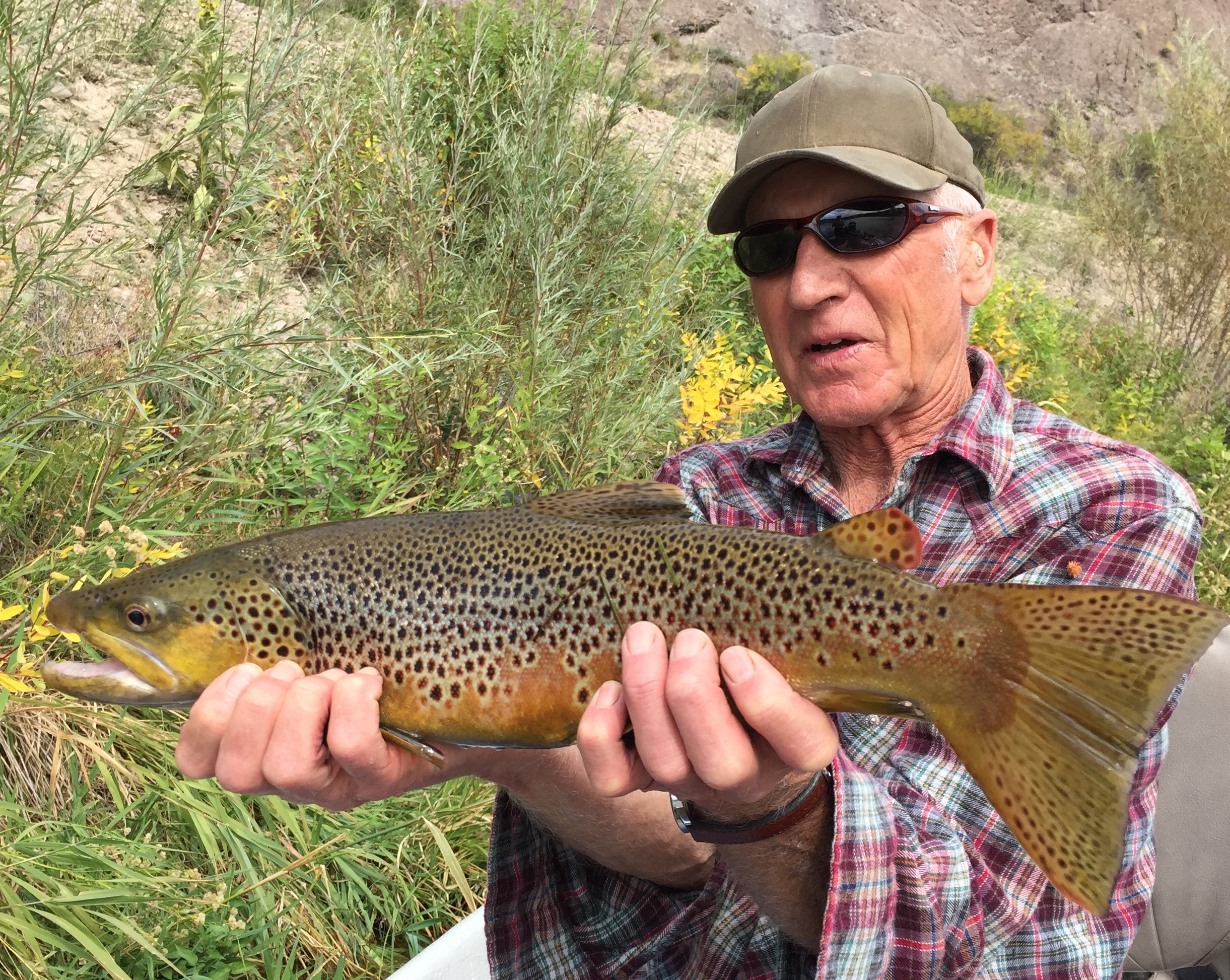 The leaves aren't the only colors of fall. The brown trout are colored up in spawning splendor this time of year and we've been catching some great ones this week. 