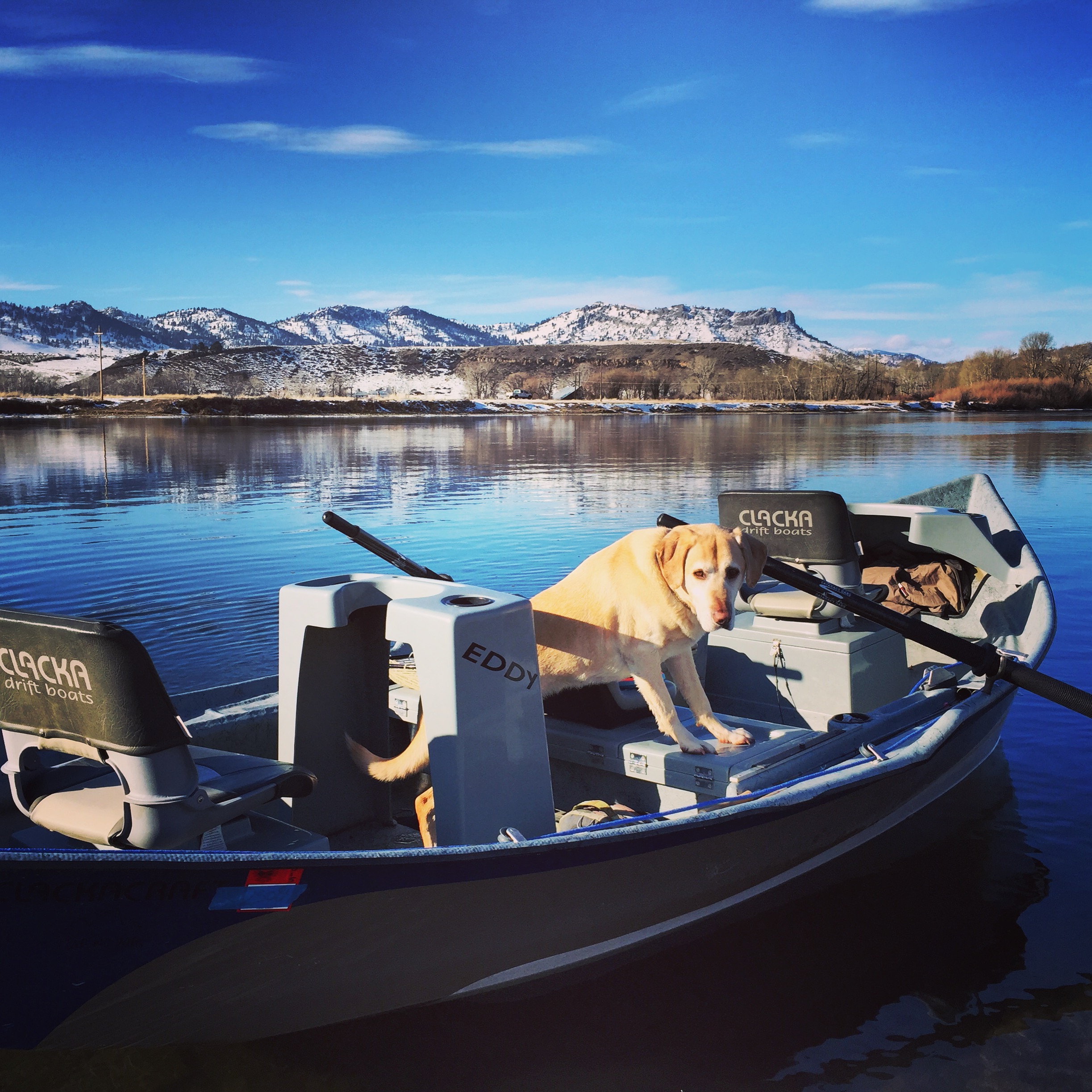 Enjoying a brief January Thaw on the Missouri - Photo by Wolf Creek Angler 