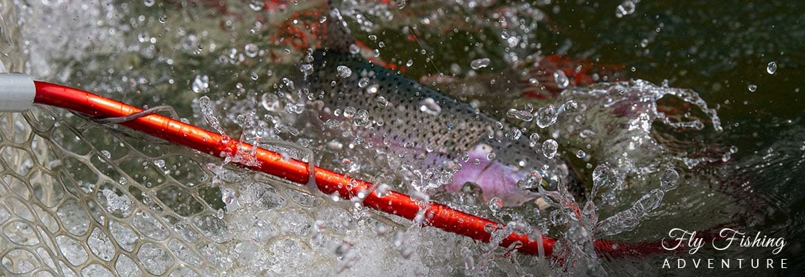 Echo TROUT Fly Rod - Wolf Creek Angler